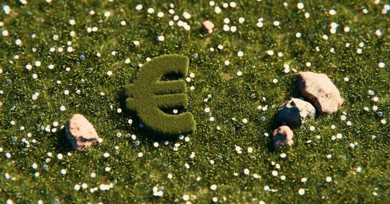 Fördermittelberatung für energetische Sanierung in Braunschweig Wolfenbüttel Gifhorn: Unterstützung bei BAFA und KfW Förderprogrammen